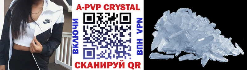A PVP СК  Череповец 