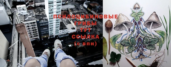 а пвп мука Алексеевка