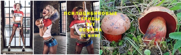 а пвп мука Алексеевка