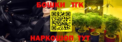 прущие грибы Анжеро-Судженск