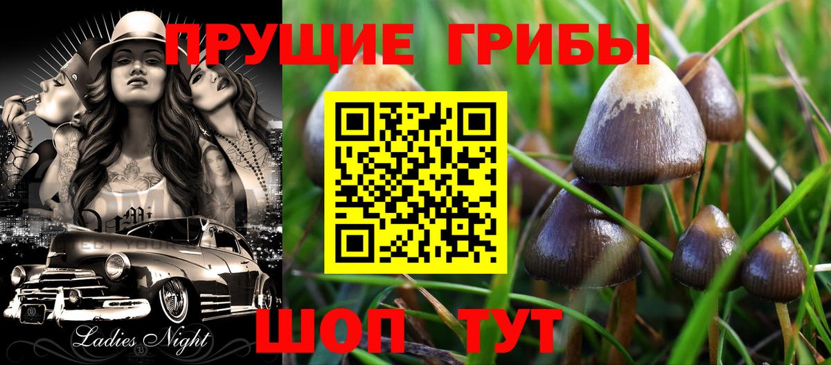 Псилоцибиновые грибы Magic Shrooms  Вход с VPN  Череповец 